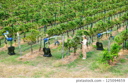 Smart vineyard system with winegrower work with robotic arms 125094659