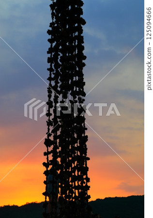 宮島牡蠣登陸 宮島牡蠣登陸 125094666