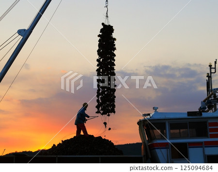 宮島牡蠣登陸 125094684