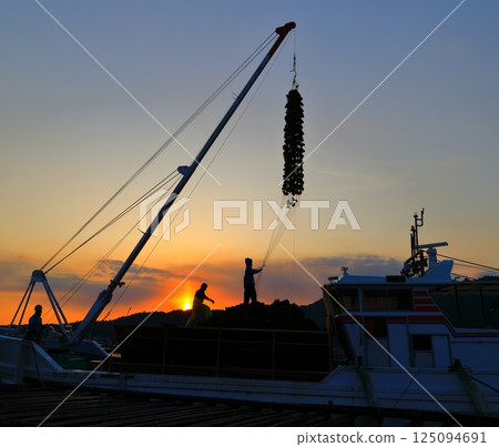 Miyajima Oyster Landing 125094691