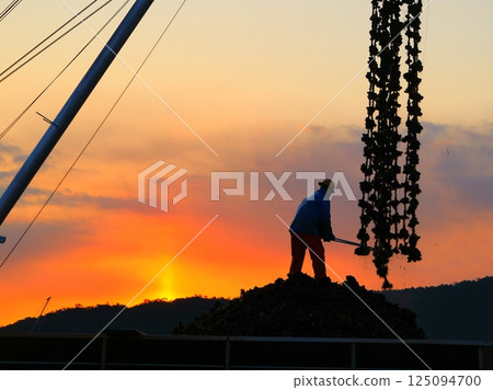 宮島牡蠣登陸 125094700