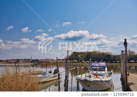 Spring has come and the scenery around Lake Kitagata is covered in cherry blossoms Spring has come and the scenery around Lake Kitagata is covered in cherry blossoms 125094718