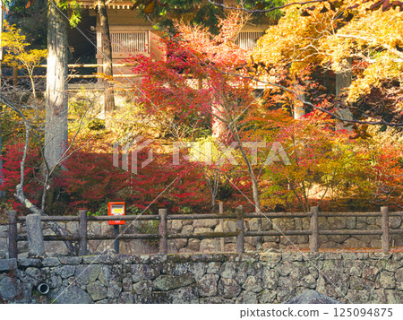Autumn leaves and a red mailbox (in the grounds of Banshu Kiyomizu-dera Temple) 125094875