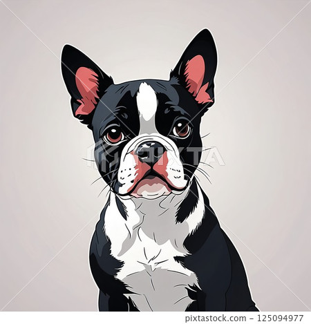 波士頓梗犬卡通插圖 125094977