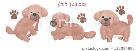 Shih Tzu Dog set watercolor style illustration with Different Poses and Expressions Shih Tzu Dog set watercolor style illustration with Different Poses and Expressions 125094993