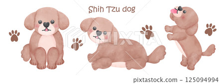 Shih Tzu Dog set watercolor illustration with Different Poses and Expressions 125094994