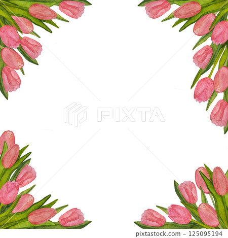 Round frame of blooming pink tulips with green leaves hand painted in watercolor on white background 125095194