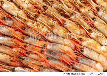 Shrimp 125095205