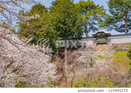 （石川縣）金澤城：櫻花盛開的石川門和石川塔 125095270
