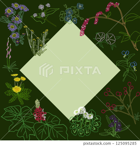 Wildflower frame illustration 125095285