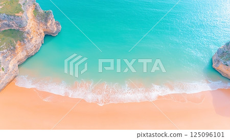 aerial view of sea and beach with coconut palm tree aerial view of sea and beach with coconut palm tree 125096101