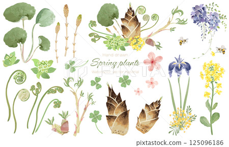 一組用水彩畫的各種春季植物 125096186