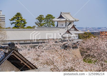 （石川縣）金澤城：三之丸廣場的櫻花、五十間長屋和菱櫓塔 125096214