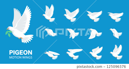 Flying Pigeon Animation Set. Bird in Motion from Different Angles, Wedding Dove in a vector Illustration. 125096376
