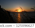 Sunset over the sea and silver grass 125096627