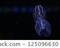 Blue glowing jellyfish 125096630