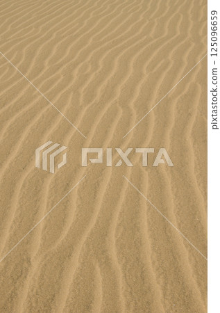 Detail of a dune. Detail of a dune. 125096659