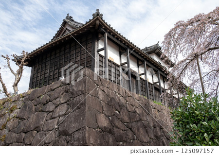 The Taiko Tower still standing at the site of Kakegawa Castle 125097157