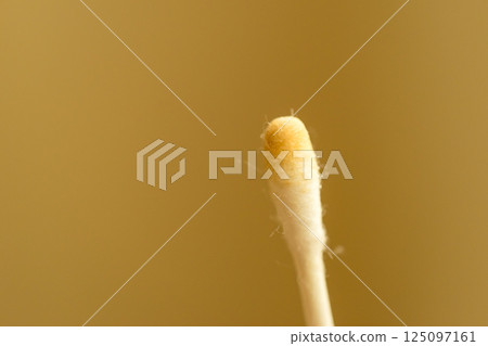 黏稠、潮濕的耳垢 125097161