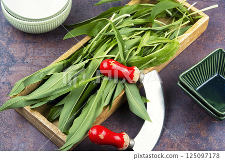 Wild Spring Ramps. 125097178