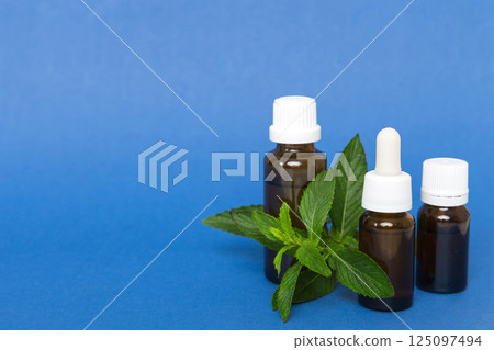 Natural Mint Essential Oil in a Glass Bottle. organic cosmetics with herbal extracts of mint on colored background Natural Mint Essential Oil in a Glass Bottle. organic cosmetics with herbal extracts of mint on colored background 125097494