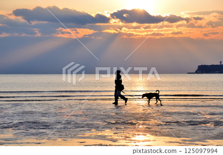 A person walking a dog at Zaimokuza Beach in the sunset 125097994