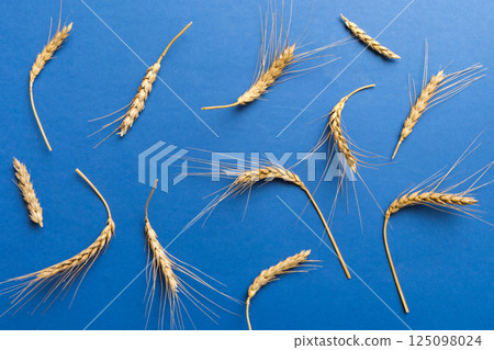 Sheaf of wheat ears close up and seeds on colored background. Natural cereal plant, harvest time concept. Top view, flat lay. world wheat crisis Sheaf of wheat ears close up and seeds on colored background. Natural cereal plant, harvest time concept. Top view, flat lay. world wheat crisis 125098024