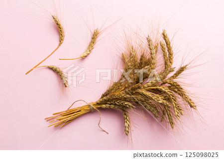 Sheaf of wheat ears close up and seeds on colored background. Natural cereal plant, harvest time concept. Top view, flat lay. world wheat crisis 125098025