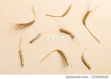 Sheaf of wheat ears close up and seeds on colored background. Natural cereal plant, harvest time concept. Top view, flat lay. world wheat crisis Sheaf of wheat ears close up and seeds on colored background. Natural cereal plant, harvest time concept. Top view, flat lay. world wheat crisis 125098026