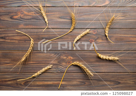 Sheaf of wheat ears close up and seeds on colored background. Natural cereal plant, harvest time concept. Top view, flat lay. world wheat crisis 125098027