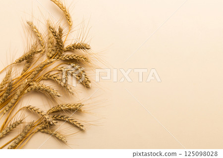 Sheaf of wheat ears close up and seeds on colored background. Natural cereal plant, harvest time concept. Top view, flat lay with copy space. world wheat crisis Sheaf of wheat ears close up and seeds on colored background. Natural cereal plant, harvest time concept. Top view, flat lay with copy space. world wheat crisis 125098028