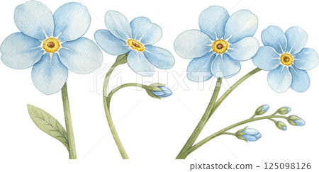 Watercolor Forget-Me-Nots 125098126