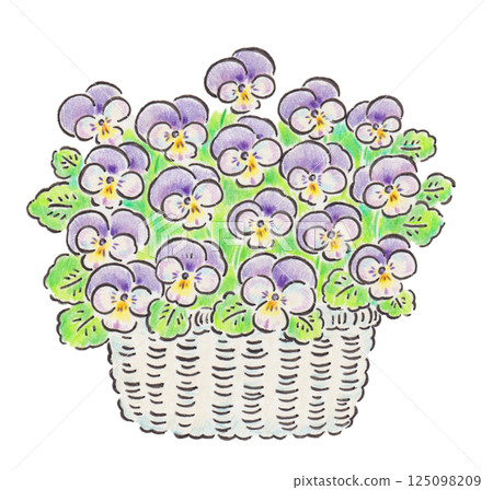 紫羅蘭花卉插圖 125098209