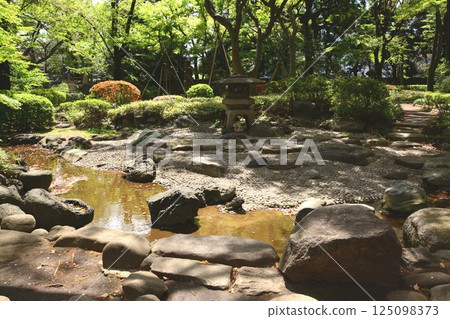 新鮮的綠色日本庭院 125098373