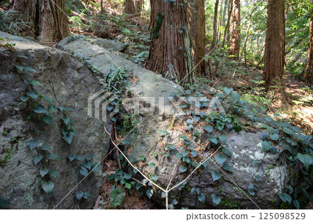 Remains of castle-building stones at Honrin Stone Quarry 125098529