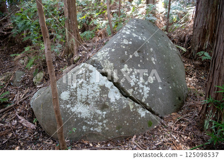 本林採石場的城堡建築石材遺跡 125098537