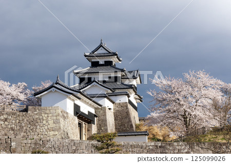 櫻花盛開的小峰城 125099026