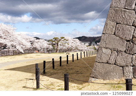 櫻花盛開的小峰城 125099027