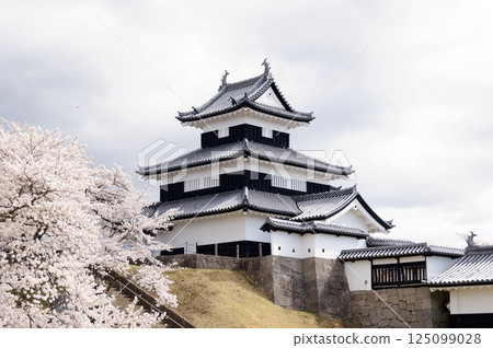 櫻花盛開的小峰城 125099028