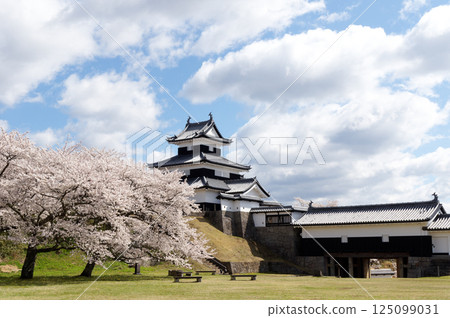 Komine Castle with cherry blossoms in bloom 125099031