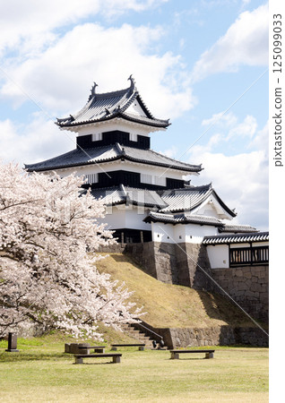 Komine Castle with cherry blossoms in bloom 125099033