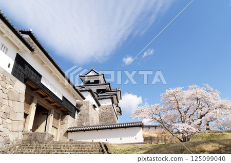 Komine Castle with cherry blossoms in bloom 125099040