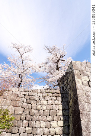 Komine Castle with cherry blossoms in bloom Komine Castle with cherry blossoms in bloom 125099041