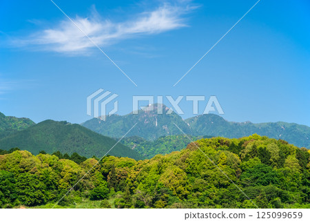 Mt. Gozaisho in the new green season 125099659