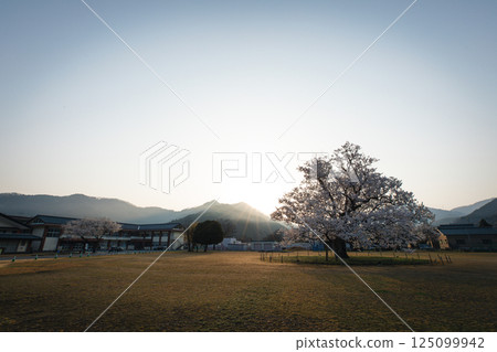 阿島野佐倉小學 125099942