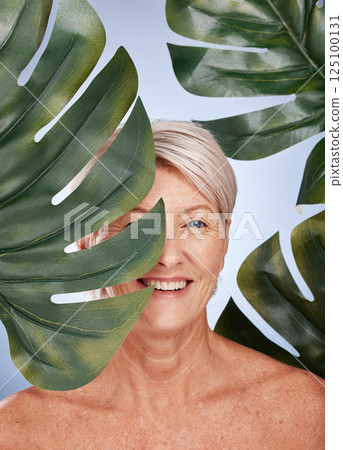 Mature woman, skincare or body care leaf in studio healthcare, organic dermatology treatment or vegan face makeup cosmetology. Smile portrait, happy middle aged beauty model or green monstera plant 125100131