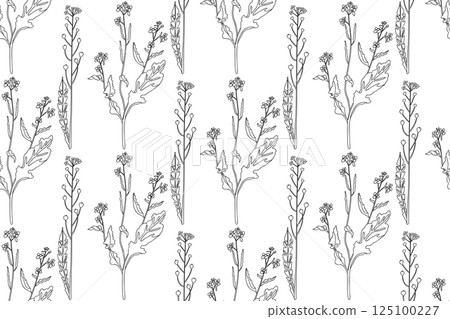 Line art botanical plants floral seamless pattern with wildflowers vector illustration.Outline repeating doodle flowers in white background. Graphic design for Fashion Cover Textile Coloring Page Card Line art botanical plants floral seamless pattern with wildflowers vector illustration.Outline repeating doodle flowers in white background. Graphic design for Fashion Cover Textile Coloring Page Card 125100227