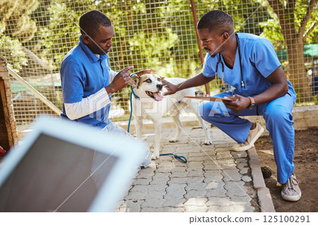 Outdoor animal shelter, dog and vet with clipboard in hand doing check up, examination and analysis. Healthcare, teamwork and veterinarian medical workers at dog shelter taking care of animals Outdoor animal shelter, dog and vet with clipboard in hand doing check up, examination and analysis. Healthcare, teamwork and veterinarian medical workers at dog shelter taking care of animals 125100291