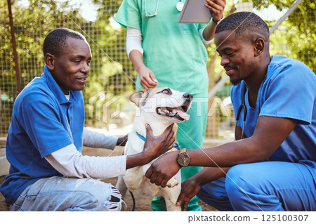 Veterinary, group and doctor with dog while working in healthcare, wellness and animal health. Vet, volunteer and pet with black man, nurse or people for medical, care or adoption of animal outdoor 125100307