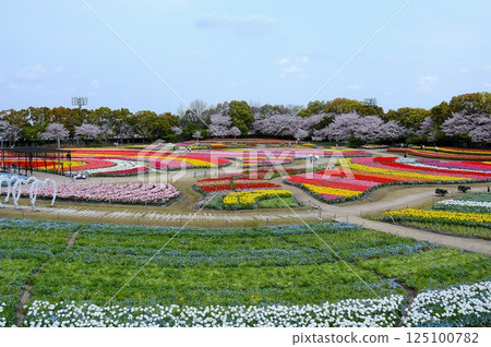 花卉廣場全景 花卉廣場全景 125100782